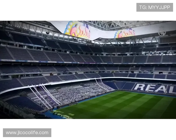 德甲球队的球场数量与设施状况分析