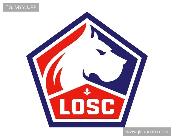 法甲外援2024-2025赛季市场前景及投资价值分析